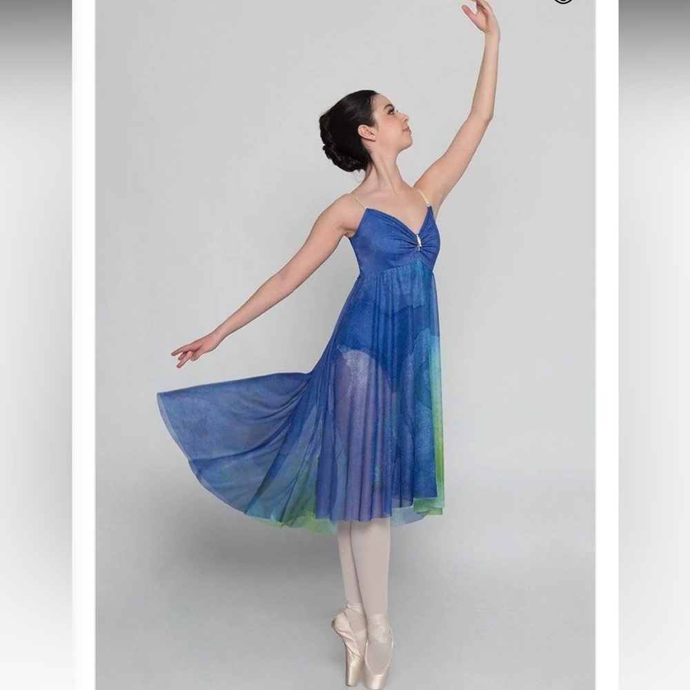 NWT AS Dance Inked Blue Watercolours Long Chiffon Dress. SF Pet friendly home.